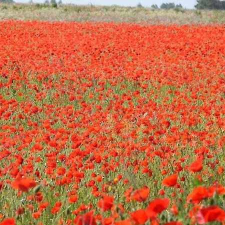 Chambres d'hôtes dans la campagne de Rognes Exterior foto