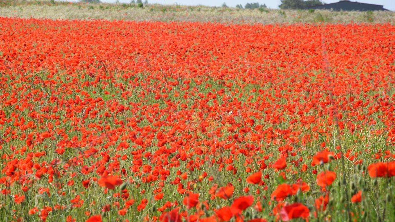 Chambres d'hôtes dans la campagne de Rognes Exterior foto
