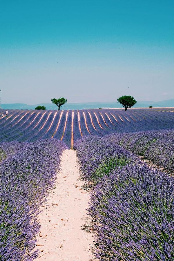 Chambres d'hôtes dans la campagne de Rognes Exterior foto