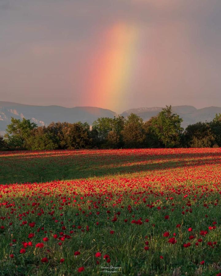 Chambres d'hôtes dans la campagne de Rognes Exterior foto
